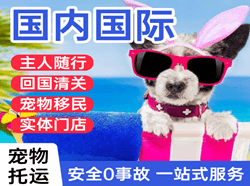 稻城亚丁空运国际宠物托运 【国